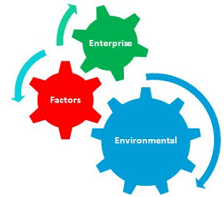 Enterprise Environmental Factors